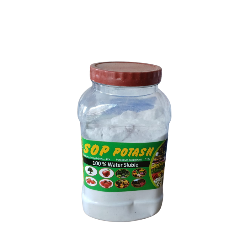 SOP Fertilizer – The Secret to Sweeter, Stronger Crops