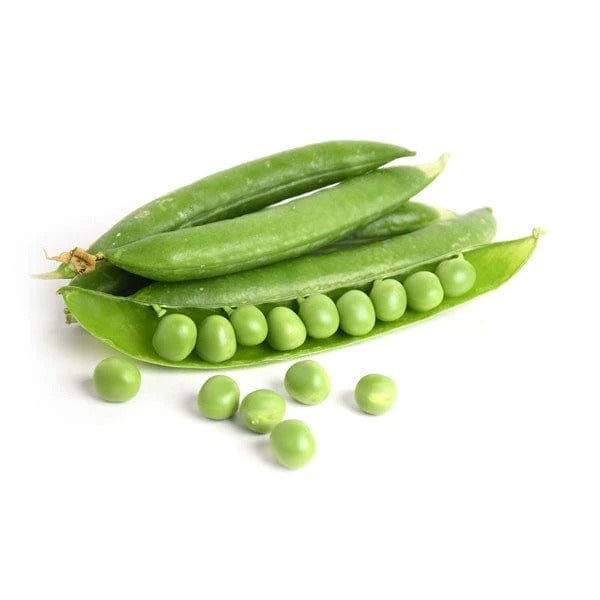 Green Peas 40+ Seeds - مٹر
