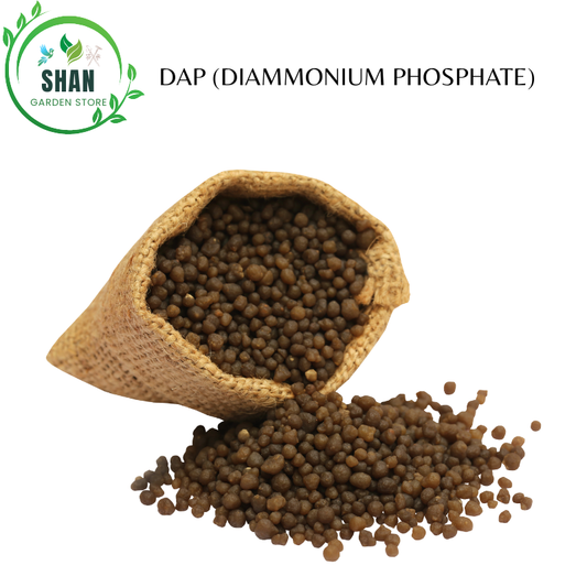DAP (Diammonium Phosphate)
