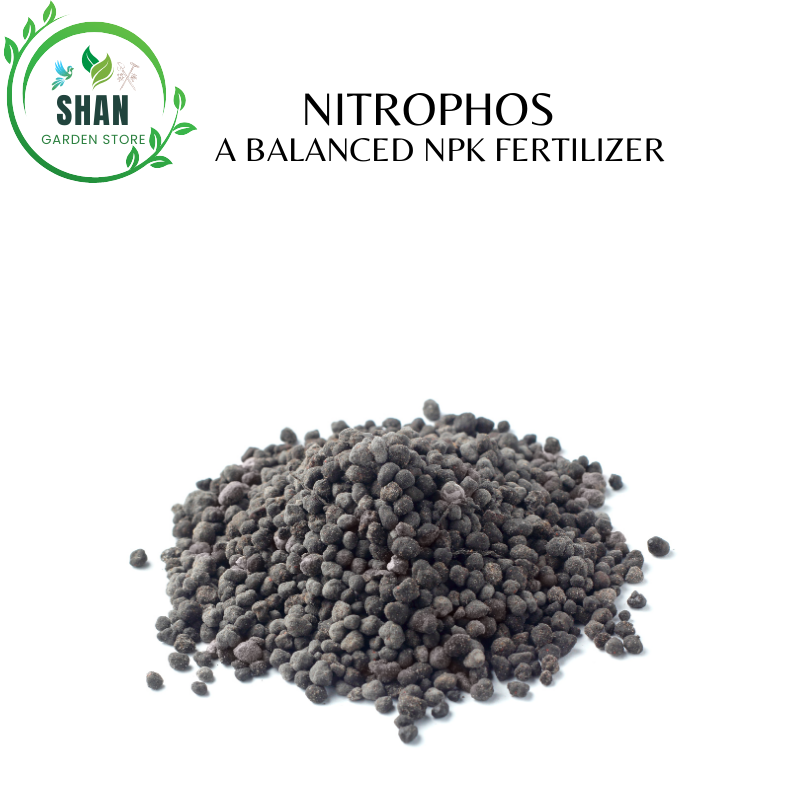 Nitrophos - A Balanced NPK Fertilizer