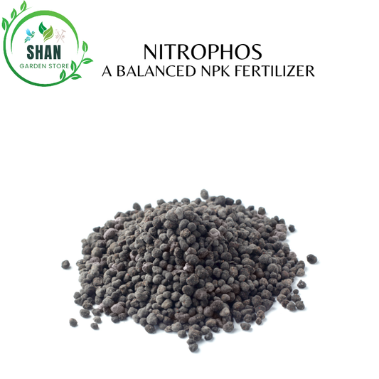 Nitrophos - A Balanced NPK Fertilizer