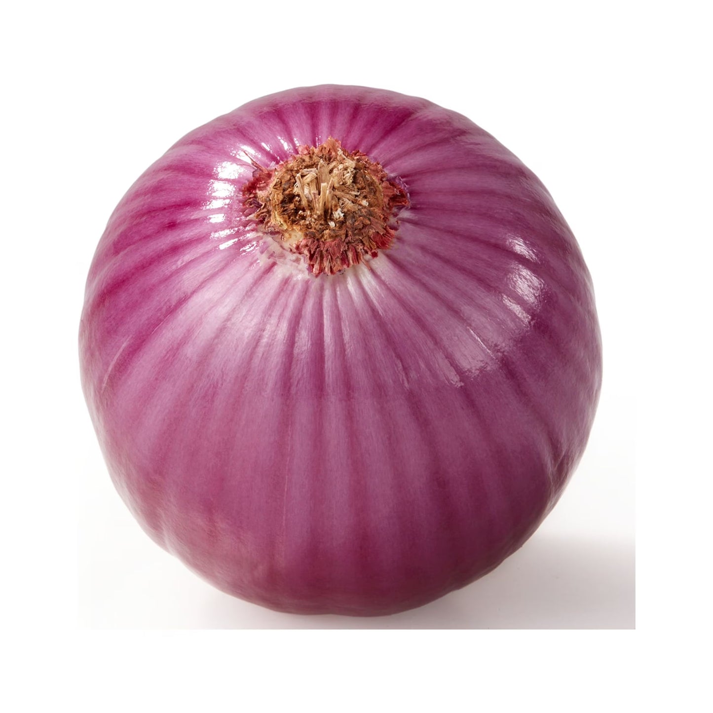 Purple onion on a white background