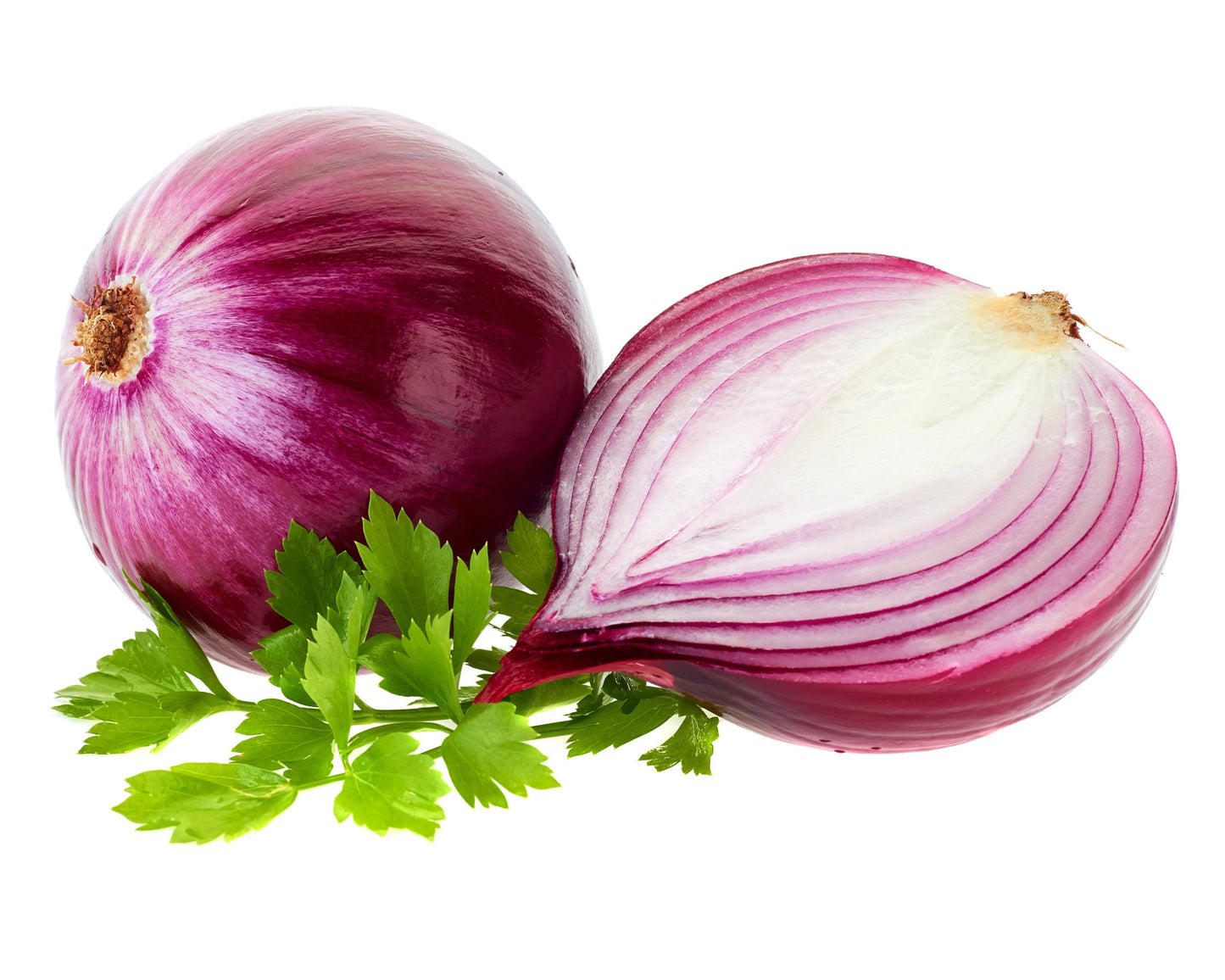 Two red onions with green leaves on a white background