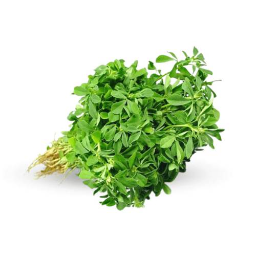 Fenugreek (Methi میتھی ) 500+ Seeds