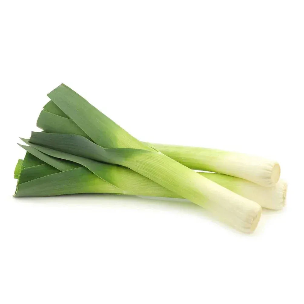 Leek Salad (لیک سلاد) 30+ Seeds