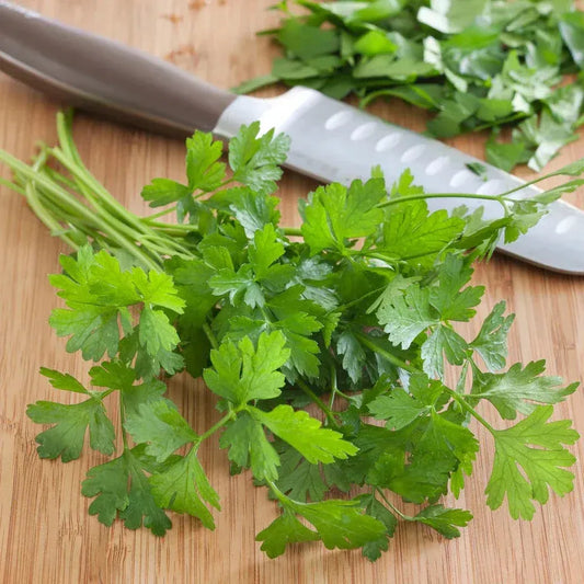 Fresh green parsley on a wooden cutting board with a knife with (shangardenstore) branding.