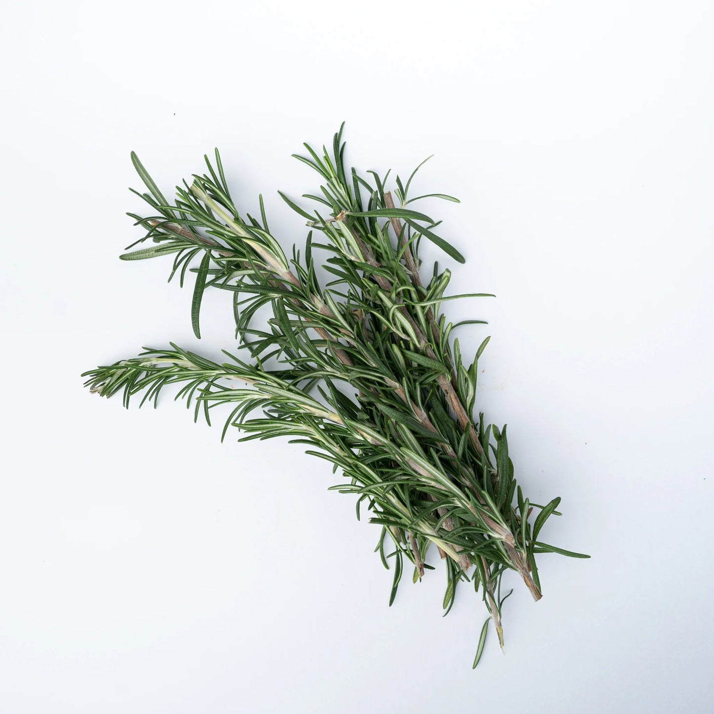 Rosemary 30+ Seeds