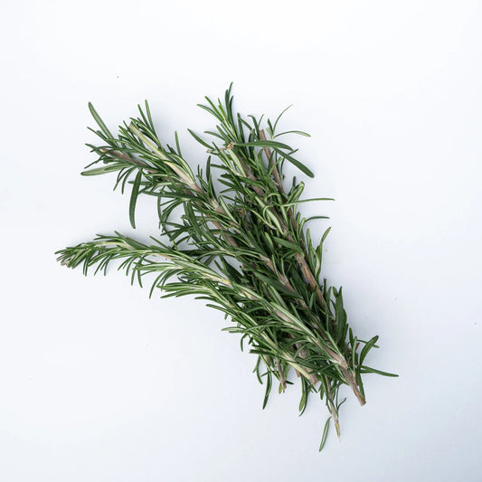 Rosemary 30+ Seeds