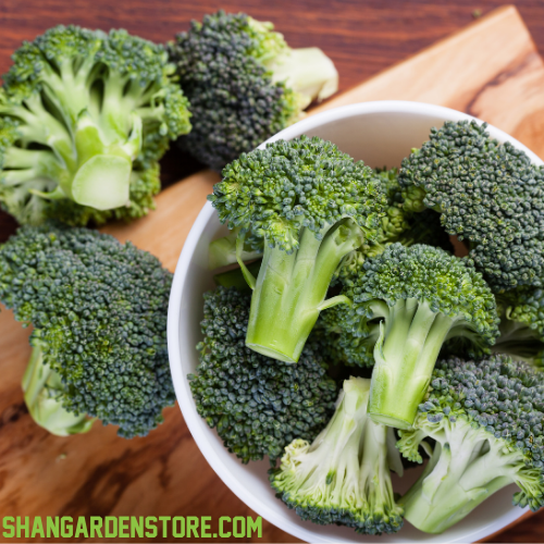 Broccoli 30+ Seeds - بروکلی