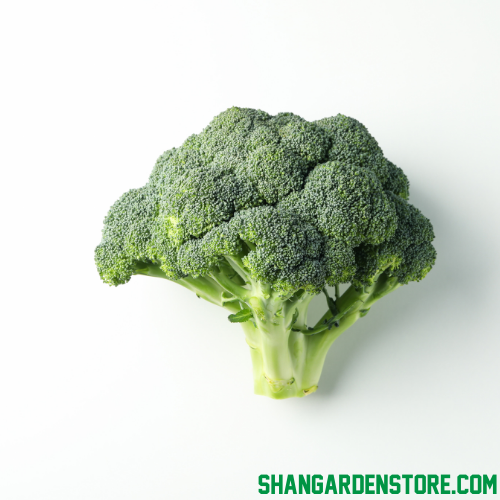 Broccoli 30+ Seeds - بروکلی