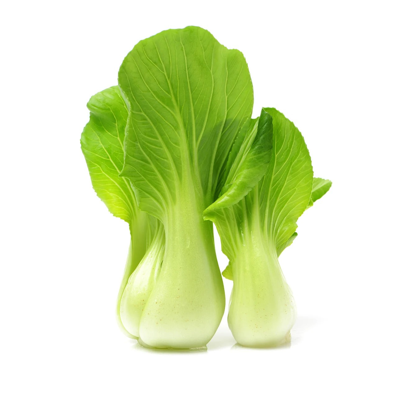 Pak Choy (پاک چوئے) 50+ Seeds