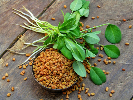 Methray (میتھرے) 500 + Seeds