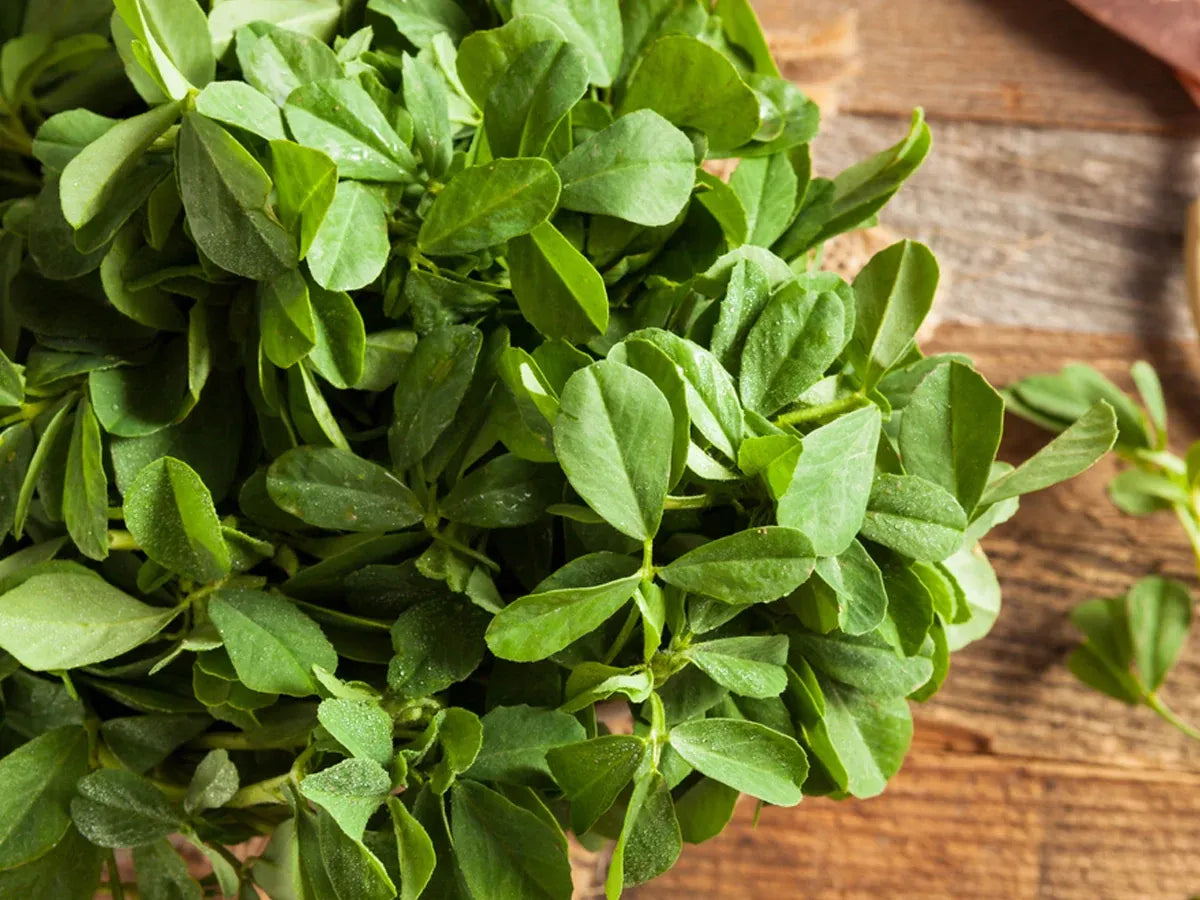Methray (میتھرے) 500 + Seeds