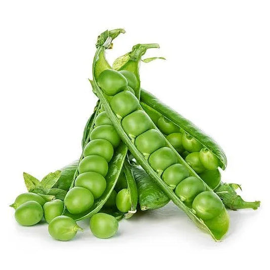 Green Peas 40+ Seeds - مٹر